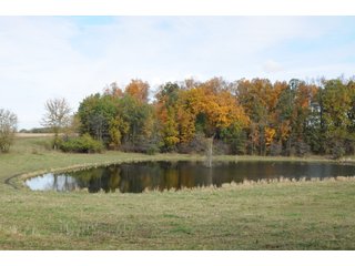 Property photo 64 - MAJOR LAND AUCTION - 315+/- ACRES IN 16 TRACTS - 6 PROPERTIES IN WHITLEY & ALLEN COUNTIES, INDIANA