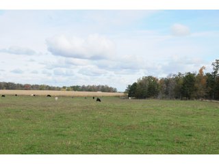 Property photo 68 - MAJOR LAND AUCTION - 315+/- ACRES IN 16 TRACTS - 6 PROPERTIES IN WHITLEY & ALLEN COUNTIES, INDIANA