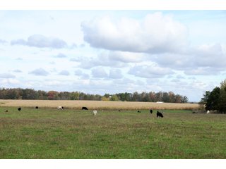 TRACTS 5 & 6 - MAJOR LAND AUCTION - 315+/- ACRES IN 16 TRACTS - 6 PROPERTIES IN WHITLEY & ALLEN COUNTIES, INDIANA