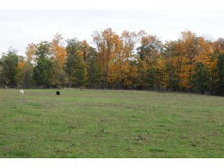 Property photo 65 - MAJOR LAND AUCTION - 315+/- ACRES IN 16 TRACTS - 6 PROPERTIES IN WHITLEY & ALLEN COUNTIES, INDIANA