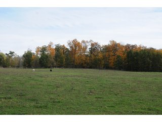 Property photo 67 - MAJOR LAND AUCTION - 315+/- ACRES IN 16 TRACTS - 6 PROPERTIES IN WHITLEY & ALLEN COUNTIES, INDIANA