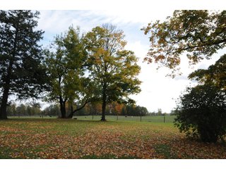 Property photo 71 - MAJOR LAND AUCTION - 315+/- ACRES IN 16 TRACTS - 6 PROPERTIES IN WHITLEY & ALLEN COUNTIES, INDIANA