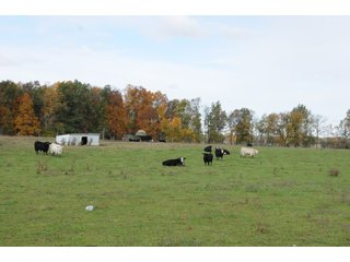 Property photo 82 - MAJOR LAND AUCTION - 315+/- ACRES IN 16 TRACTS - 6 PROPERTIES IN WHITLEY & ALLEN COUNTIES, INDIANA