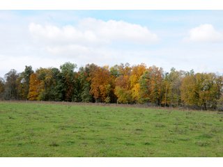 TRACT 12 - MAJOR LAND AUCTION - 315+/- ACRES IN 16 TRACTS - 6 PROPERTIES IN WHITLEY & ALLEN COUNTIES, INDIANA