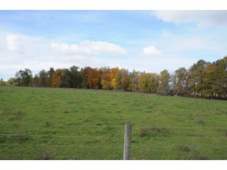 Property photo 85 - MAJOR LAND AUCTION - 315+/- ACRES IN 16 TRACTS - 6 PROPERTIES IN WHITLEY & ALLEN COUNTIES, INDIANA