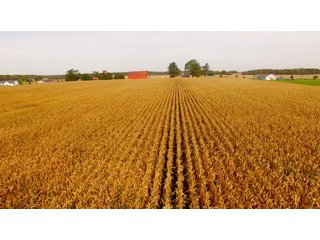 Property photo 1 - MAJOR LAND AUCTION - 315+/- ACRES IN 16 TRACTS - 6 PROPERTIES IN WHITLEY & ALLEN COUNTIES, INDIANA