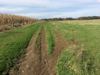 Property photo 56 - MAJOR LAND AUCTION - 315+/- ACRES IN 16 TRACTS - 6 PROPERTIES IN WHITLEY & ALLEN COUNTIES, INDIANA