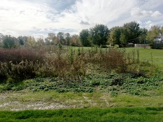 Property photo 116 - MAJOR LAND AUCTION - 315+/- ACRES IN 16 TRACTS - 6 PROPERTIES IN WHITLEY & ALLEN COUNTIES, INDIANA