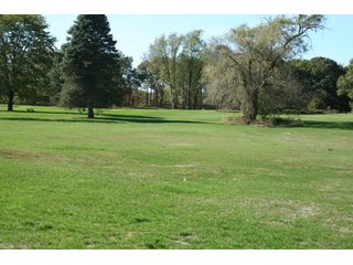 Property photo 5 - REAL ESTATE & RESTAURANT EQUIPMENT AUCTION - 80.79+/- ACRES OFFERED IN 5 TRACTS IN INGHAM CO., MICHIGAN
