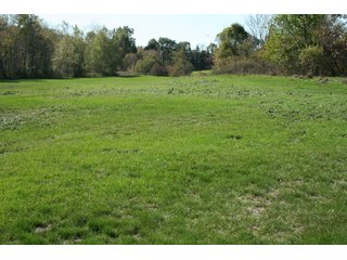 Property photo 9 - REAL ESTATE & RESTAURANT EQUIPMENT AUCTION - 80.79+/- ACRES OFFERED IN 5 TRACTS IN INGHAM CO., MICHIGAN
