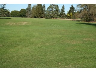 Property photo 14 - REAL ESTATE & RESTAURANT EQUIPMENT AUCTION - 80.79+/- ACRES OFFERED IN 5 TRACTS IN INGHAM CO., MICHIGAN
