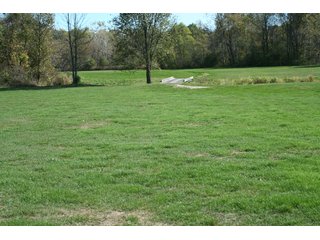 Property photo 12 - REAL ESTATE & RESTAURANT EQUIPMENT AUCTION - 80.79+/- ACRES OFFERED IN 5 TRACTS IN INGHAM CO., MICHIGAN