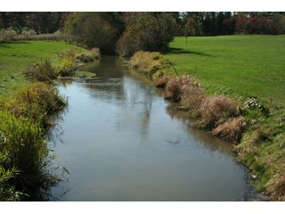 Property photo 3 - REAL ESTATE & RESTAURANT EQUIPMENT AUCTION - 80.79+/- ACRES OFFERED IN 5 TRACTS IN INGHAM CO., MICHIGAN