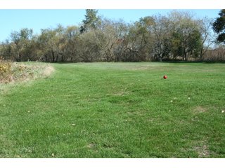 Property photo 11 - REAL ESTATE & RESTAURANT EQUIPMENT AUCTION - 80.79+/- ACRES OFFERED IN 5 TRACTS IN INGHAM CO., MICHIGAN