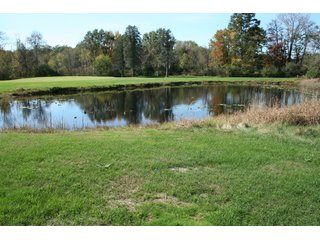Property photo 19 - REAL ESTATE & RESTAURANT EQUIPMENT AUCTION - 80.79+/- ACRES OFFERED IN 5 TRACTS IN INGHAM CO., MICHIGAN