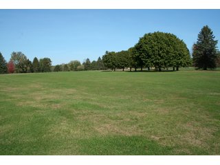 Property photo 7 - REAL ESTATE & RESTAURANT EQUIPMENT AUCTION - 80.79+/- ACRES OFFERED IN 5 TRACTS IN INGHAM CO., MICHIGAN