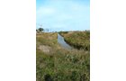 TRACT 4 - LAND AUCTION - 180+/- ACRES OFFERED IN 5 TRACTS IN WHITE COUNTY, INDIANA