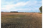 TRACT 3 - LAND AUCTION - 180+/- ACRES OFFERED IN 5 TRACTS IN WHITE COUNTY, INDIANA