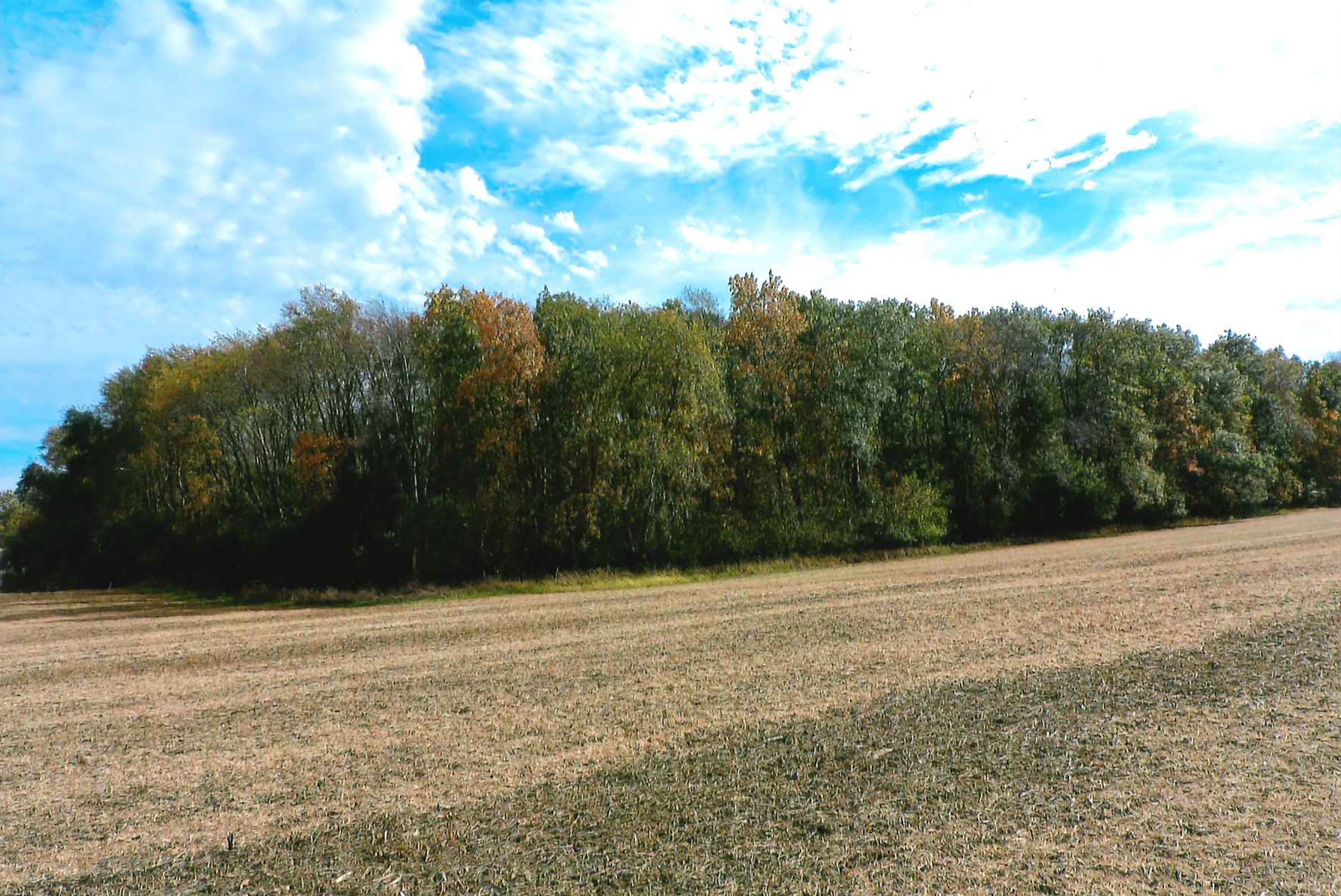 TRACT 5 - LAND AUCTION - 180+/- ACRES OFFERED IN 5 TRACTS IN WHITE COUNTY, INDIANA