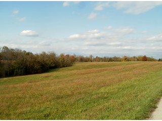 Tract 11 - REAL ESTATE AUCTION - 421+/- ACRES IN 12 TRACTS IN OHIO COUNTY, INDIANA