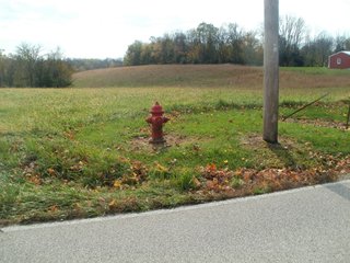 Tract 12 - REAL ESTATE AUCTION - 421+/- ACRES IN 12 TRACTS IN OHIO COUNTY, INDIANA