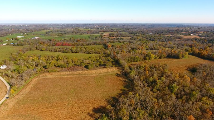 REAL ESTATE AUCTION - 421+/- ACRES IN 12 TRACTS IN OHIO COUNTY, INDIANA