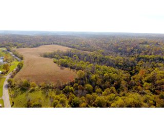 Property photo 16 - REAL ESTATE AUCTION - 421+/- ACRES IN 12 TRACTS IN OHIO COUNTY, INDIANA