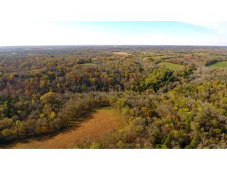 Property photo 9 - REAL ESTATE AUCTION - 421+/- ACRES IN 12 TRACTS IN OHIO COUNTY, INDIANA