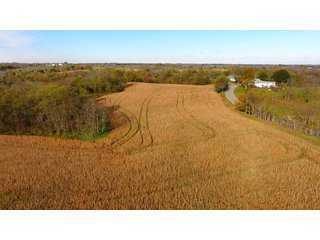 Property photo 14 - REAL ESTATE AUCTION - 421+/- ACRES IN 12 TRACTS IN OHIO COUNTY, INDIANA