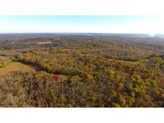 Property photo 7 - REAL ESTATE AUCTION - 421+/- ACRES IN 12 TRACTS IN OHIO COUNTY, INDIANA