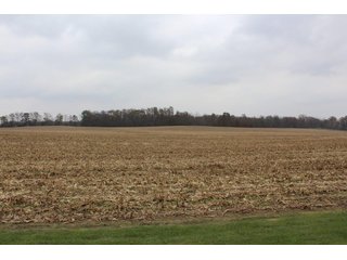 TRACT 4 - REAL ESTATE AUCTION - 252.92+/- ACRES OFFERED IN 5 TRACTS IN 4 LOCATIONS IN KOSCIUSKO CO., INDIANA