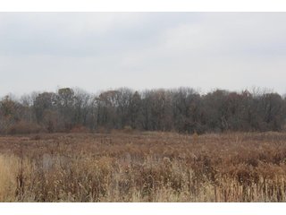 Property photo 12 - REAL ESTATE AUCTION - 252.92+/- ACRES OFFERED IN 5 TRACTS IN 4 LOCATIONS IN KOSCIUSKO CO., INDIANA