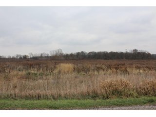 TRACT 3 - REAL ESTATE AUCTION - 252.92+/- ACRES OFFERED IN 5 TRACTS IN 4 LOCATIONS IN KOSCIUSKO CO., INDIANA