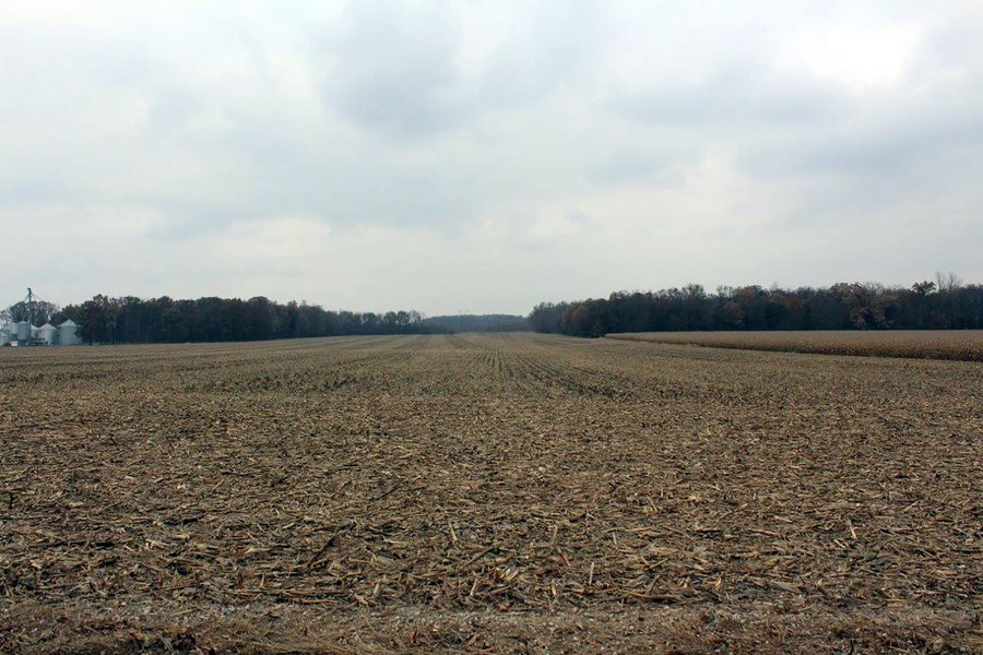 REAL ESTATE AUCTION - 252.92+/- ACRES OFFERED IN 5 TRACTS IN 4 LOCATIONS IN KOSCIUSKO CO., INDIANA