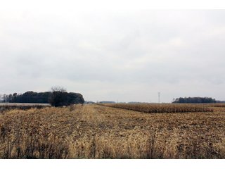 TRACT 5 - REAL ESTATE AUCTION - 252.92+/- ACRES OFFERED IN 5 TRACTS IN 4 LOCATIONS IN KOSCIUSKO CO., INDIANA