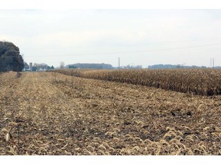 Property photo 13 - REAL ESTATE AUCTION - 252.92+/- ACRES OFFERED IN 5 TRACTS IN 4 LOCATIONS IN KOSCIUSKO CO., INDIANA