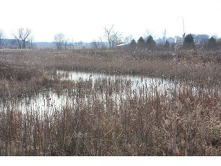 Property photo 6 - REAL ESTATE AUCTION - 252.92+/- ACRES OFFERED IN 5 TRACTS IN 4 LOCATIONS IN KOSCIUSKO CO., INDIANA