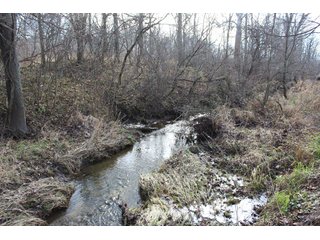 Property photo 5 - REAL ESTATE AUCTION - 252.92+/- ACRES OFFERED IN 5 TRACTS IN 4 LOCATIONS IN KOSCIUSKO CO., INDIANA