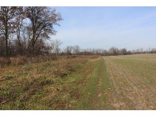 Property photo 4 - REAL ESTATE AUCTION - 252.92+/- ACRES OFFERED IN 5 TRACTS IN 4 LOCATIONS IN KOSCIUSKO CO., INDIANA