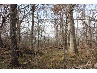 Property photo 7 - REAL ESTATE AUCTION - 252.92+/- ACRES OFFERED IN 5 TRACTS IN 4 LOCATIONS IN KOSCIUSKO CO., INDIANA