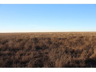 <b>Four 160+/- dryland farms.</b>  Farms are located 10 - 13 miles north of Elkhart, Kansas near Hwy 27 and are all within a four mile radius.  A full due diligence package that includes title information, production data, check stubs, soil maps, aerials and more is available for your review on the company website.

<b>Farm 1:  160+/- surface acres</b> located at the intersection of Hwy 27 and Q Road.  Level topography, highway frontage and primarily Wagonbed Silty Clay Loam soils.

<b>Farm 2:  160+/- surface acres</b> located one mile east of Hwy 27 along Q Road.  Level topography, easy access to the highway and Wagonbed Silty Clay Loam soils.

<b>Farm 3:  160+/- surface acres</b> located 2.5 miles east of Hwy 27 along N Road.  Good access and approximately 81% Ulysses Silt Loam soils.

<b>Farm 4:  160+/- surface acres</b> located 1.5 miles east of Hwy 27 along M Road.  Farm has easy access from the highway and is approximately 60% Ulysses Silt Loam soils.  - 4 Separate Farms - Quality Soils