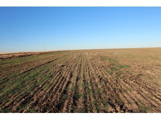 <b>Four 160+/- dryland farms.</b>  Farms are located 10 - 13 miles north of Elkhart, Kansas near Hwy 27 and are all within a four mile radius.  A full due diligence package that includes title information, production data, check stubs, soil maps, aerials and more is available for your review on the company website.

<b>Farm 1:  160+/- surface acres</b> located at the intersection of Hwy 27 and Q Road.  Level topography, highway frontage and primarily Wagonbed Silty Clay Loam soils.

<b>Farm 2:  160+/- surface acres</b> located one mile east of Hwy 27 along Q Road.  Level topography, easy access to the highway and Wagonbed Silty Clay Loam soils.

<b>Farm 3:  160+/- surface acres</b> located 2.5 miles east of Hwy 27 along N Road.  Good access and approximately 81% Ulysses Silt Loam soils.

<b>Farm 4:  160+/- surface acres</b> located 1.5 miles east of Hwy 27 along M Road.  Farm has easy access from the highway and is approximately 60% Ulysses Silt Loam soils.  - 4 Separate Farms - Quality Soils
