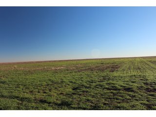 <b>Four 160+/- dryland farms.</b>  Farms are located 10 - 13 miles north of Elkhart, Kansas near Hwy 27 and are all within a four mile radius.  A full due diligence package that includes title information, production data, check stubs, soil maps, aerials and more is available for your review on the company website.

<b>Farm 1:  160+/- surface acres</b> located at the intersection of Hwy 27 and Q Road.  Level topography, highway frontage and primarily Wagonbed Silty Clay Loam soils.

<b>Farm 2:  160+/- surface acres</b> located one mile east of Hwy 27 along Q Road.  Level topography, easy access to the highway and Wagonbed Silty Clay Loam soils.

<b>Farm 3:  160+/- surface acres</b> located 2.5 miles east of Hwy 27 along N Road.  Good access and approximately 81% Ulysses Silt Loam soils.

<b>Farm 4:  160+/- surface acres</b> located 1.5 miles east of Hwy 27 along M Road.  Farm has easy access from the highway and is approximately 60% Ulysses Silt Loam soils.  - 4 Separate Farms - Quality Soils