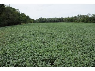 - 29.29+/- Acres
- 16.38+/- Tillable Acres (FSA)
- 16 in. water line located on CR 100 South
- Forced sewer line on E Business 30

- Productive Tillable Soils
- Recreational Ground
- Potential Building Site
- Potential Gravel and Sand Reserves - Tillable/Recreational/Potential Building Site