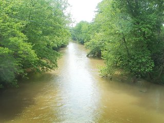 Property photo 2 - 35+/- Acres of Cropland/Recreational Land