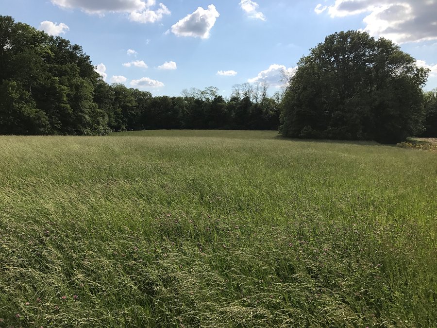 For sale: 16.5+/- Acres Tippecanoe County Indiana Home Site - West Lafayette, IN
