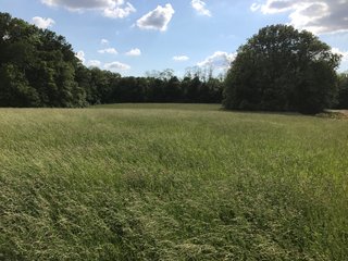Wooded lot, with 4.5+/- acres of pasture land.  

This is a great location to build a new home or use property for recreational purposes.  Shopping and Purdue University are all close by, abundant wildlife present across the property as well.<br>
<b>High School:</b>  Benton Community School Corp. - 16.5+/- Acres Tippecanoe County Indiana Home Site