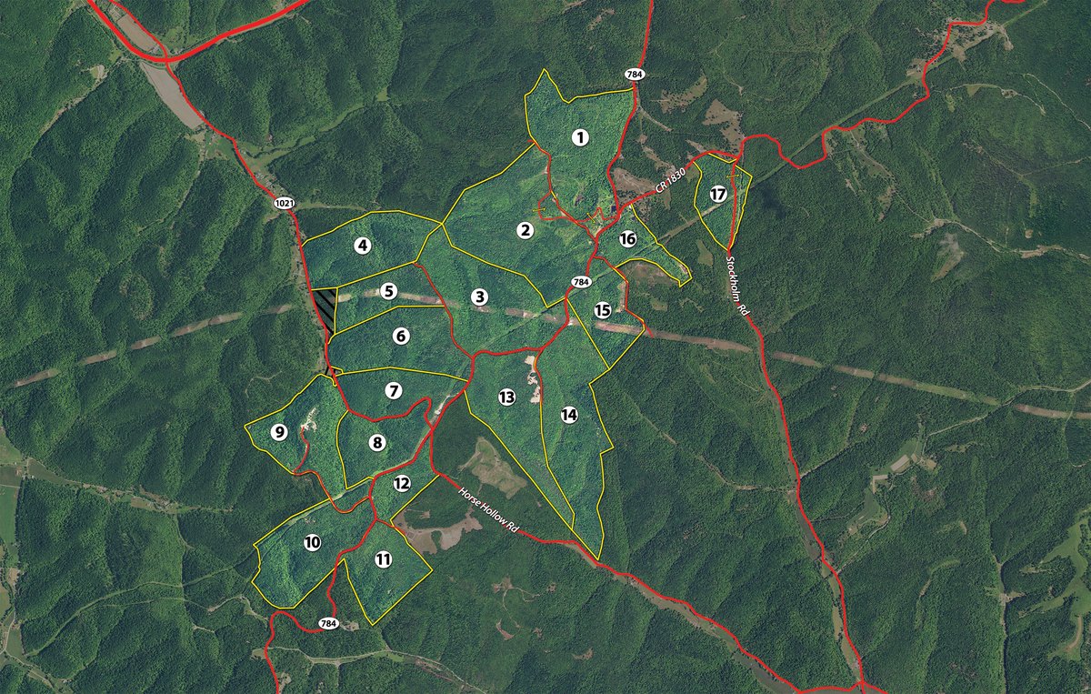 Tract map - LAND AUCTION - 1,682+/- ACRES OFFERED IN 17 TRACTS IN LEWIS & GREENUP COUNTIES, KENTUCKY