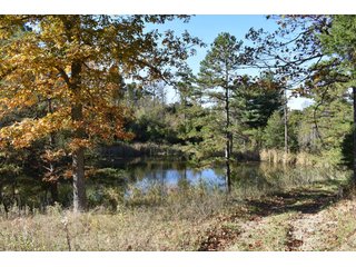 Property photo 35 - LAND AUCTION - 1,682+/- ACRES OFFERED IN 17 TRACTS IN LEWIS & GREENUP COUNTIES, KENTUCKY