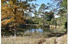 Property photo 35 - LAND AUCTION - 1,682+/- ACRES OFFERED IN 17 TRACTS IN LEWIS & GREENUP COUNTIES, KENTUCKY